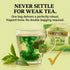 Twinings Green Tea – 100 Bags