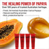 Lucas Papaw Ointment 6-Pack (6 x 25g Tubes)
