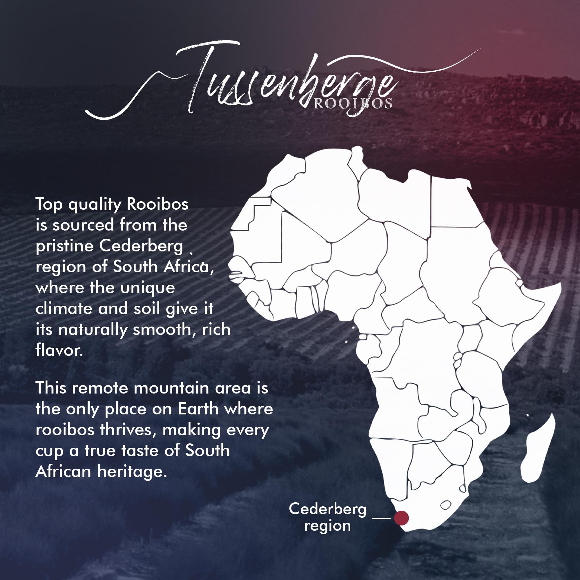 Tussenberge Pure South African Rooibos 40 Tea Bags