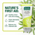 Thursday Plantation Tea Tree Antiseptic & Antibacterial Cream