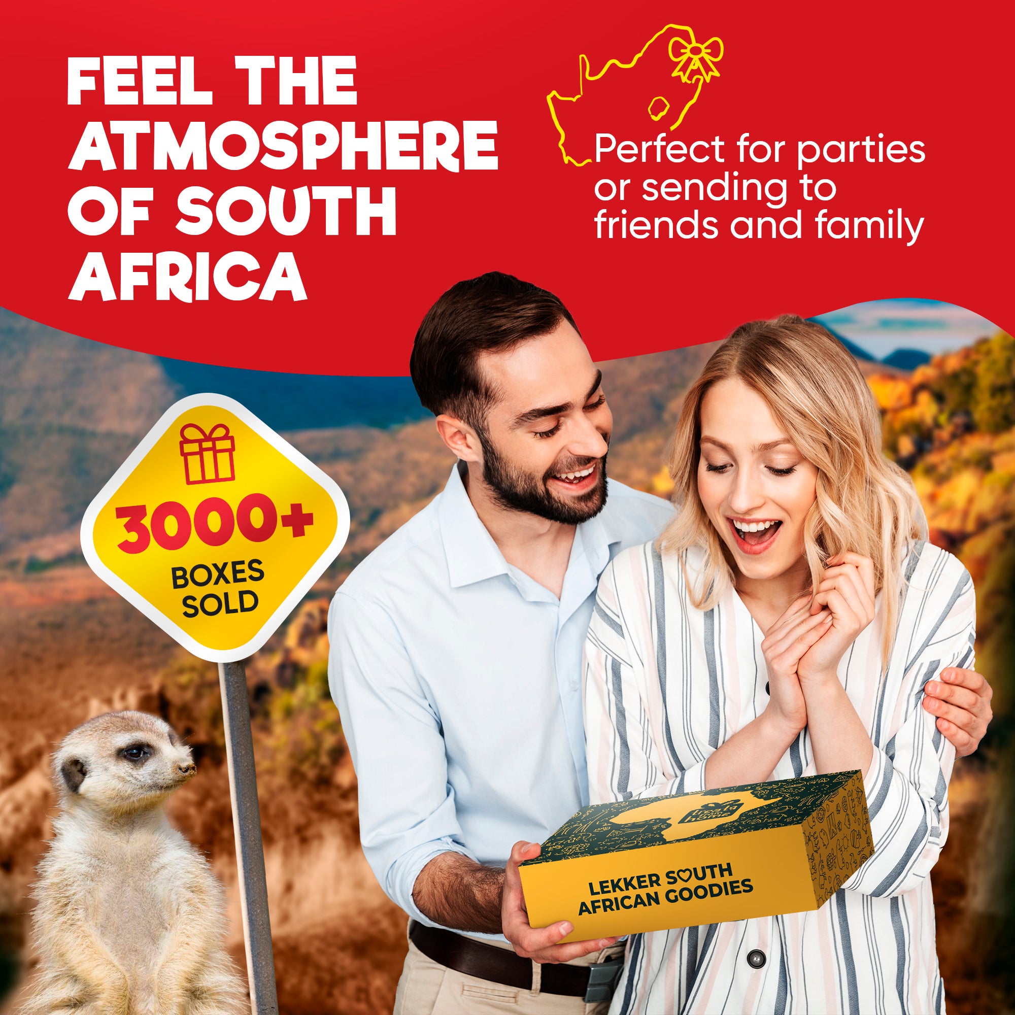 South African Large Snack Food Box